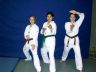 Formenturnier Leipzig 2004 42 (TKD).jpg