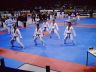 Deutsche Meisterschaft 2006 Bild 05 (TKD).jpg