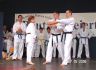 Tag der Vereine 2006 61 (TKD).jpg