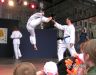 Tag der Vereine 2006 75 (TKD).jpg