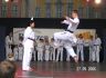 Tag der Vereine 2006 86 (TKD).jpg