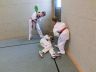 CIMG0829 (TKD).jpg