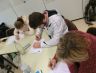 Trainerausbildung