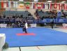 German Open